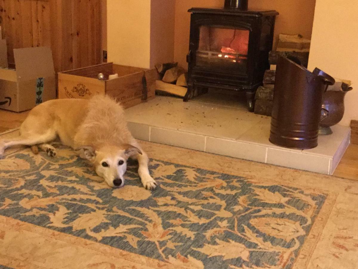 Maggi'S Home From Home เชฟฟิลด์ ภายนอก รูปภาพ